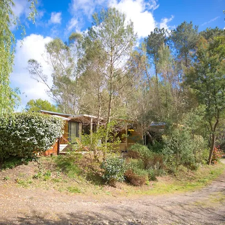 Cosy Lodge - Spa, Terrasse & Parking Onesse-et-Laharie Esterno foto